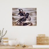 Poster Mandarin Pair (Cuisine)