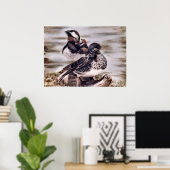 Poster Mandarin Pair (Bureau à domicile)