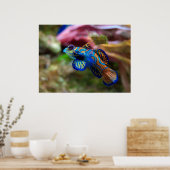 Poster Mandarinfish (Cuisine)