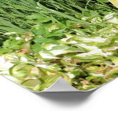 Poster Mandolin Et Iris Flower Garden (Coin)