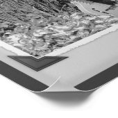 Poster Mandolin Iris Garden Photographie noir et blanc (Coin)