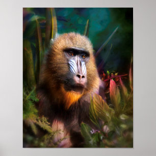 Poster Mandril Baboon MASK DANS LA JUNGLE
