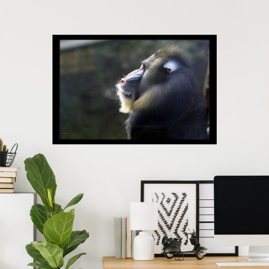 Poster Mandrill (Bureau à domicile)