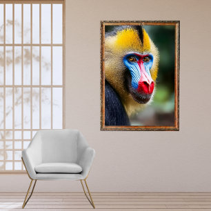 Poster Mandrill