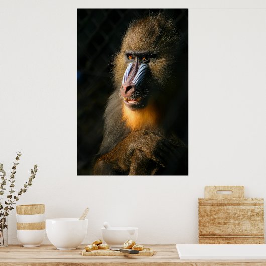 Poster Mandrill Monkey (Cuisine)