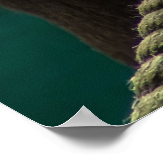 Poster Mandrill Primate Portrait (Coin)