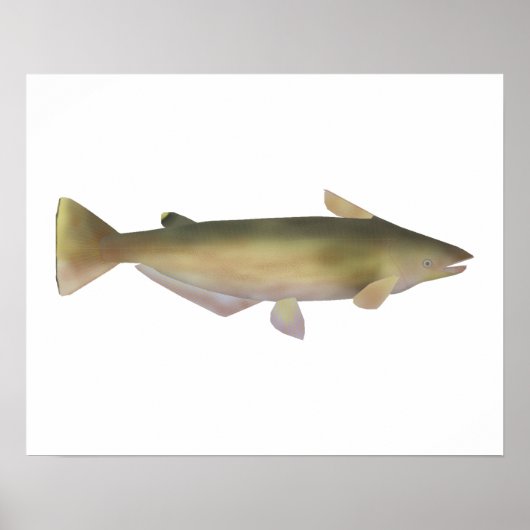Poster Manduba (Devant)