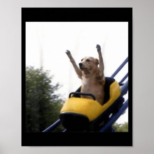 Poster Manège de chien labrador Mème drôle (Devant)