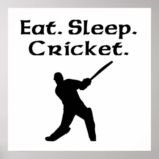 Poster Mangez le cricket du sommeil (Devant)