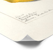 Poster Mango (Mangifera Indica) Peinture d'aquarelle aux  (Coin)