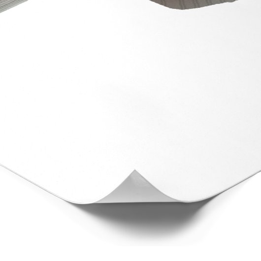 Poster Mango Tilapia (Coin)