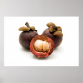 Poster Mangosteen violet (Devant)