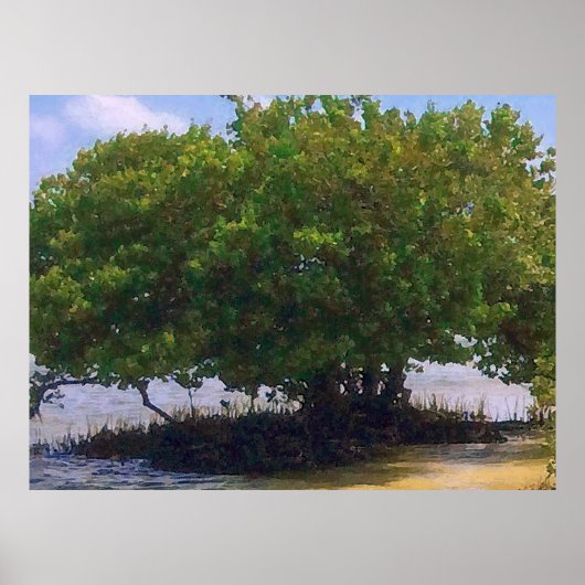 Poster Mangrove dans le Golfe (Devant)