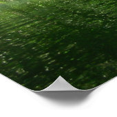 Poster Mangrove Kayaking (Coin)