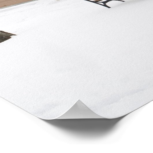 Poster Manhattan en hiver (Coin)