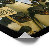 Poster Manifestation de Pingouin contre le militantisme d (Coin)