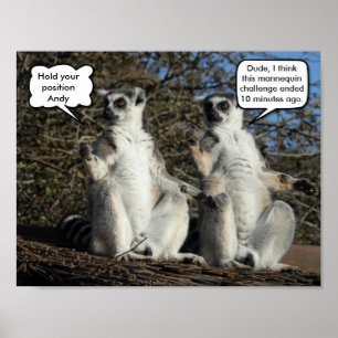 Poster Mannequin Challenged Lemurs