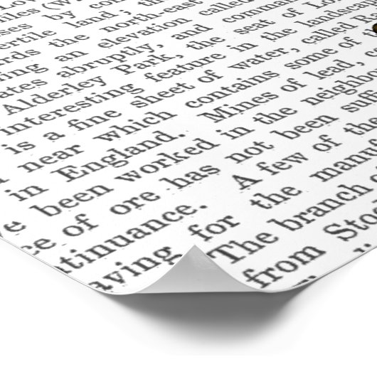 Poster Mannequin libellule (Coin)