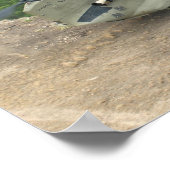 Poster Manoeuvre Pinnacle (Coin)