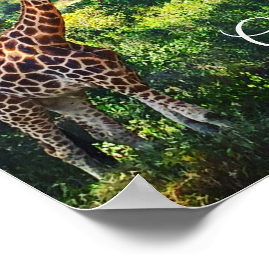Poster Manoir de Giraffe (Coin)