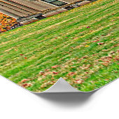 Poster Manoir de Vanderbuilt (Coin)