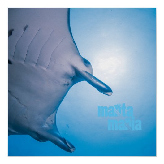 Poster Manta (Devant)