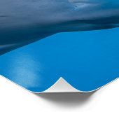 Poster Manta (Coin)