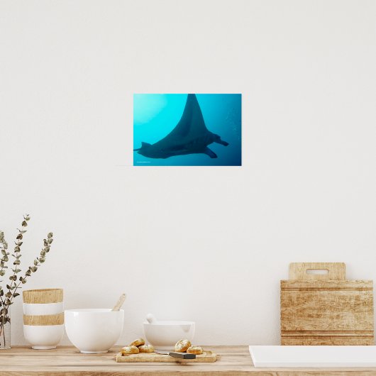 Poster Manta Ray (Cuisine)