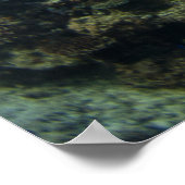 Poster Manta Ray sur la Grande Barrière de Corail (Coin)