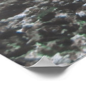 Poster Manta Up Close (Coin)