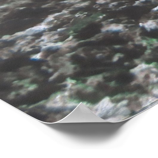 Poster Manta Up Close (Coin)