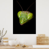 Poster Mante priante (Cuisine)