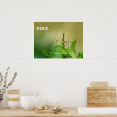 Poster Mante priante (Cuisine)