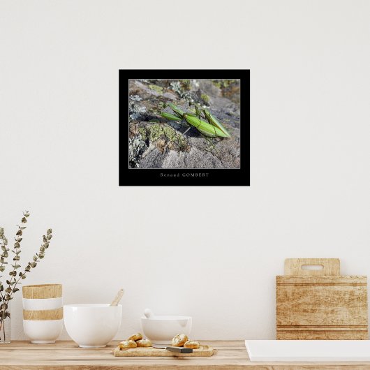 Poster Mante Religieuse (Cuisine)