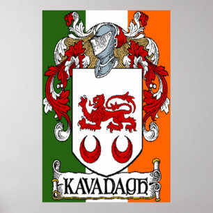 Poster Manteau de Kavanagh de copie irlandaise de drapeau