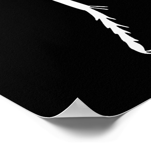 Poster Manticora tuberculata (Coin)