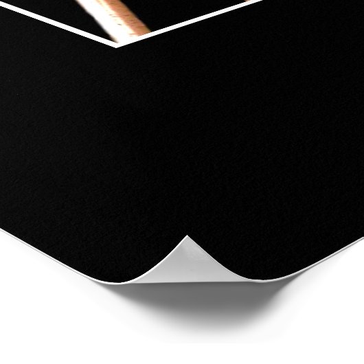 Poster Mantis (Coin)