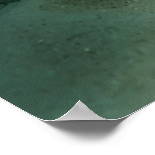 Poster Mantis crevettes Amangs Poisson de fond de récif (Coin)