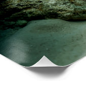 Poster Mantis crevettes Amangs Poisson de fond de récif (Coin)