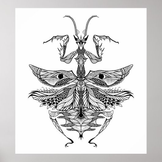 Poster Mantis de prière inspirés 2 (Devant)