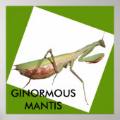 POSTER MANTIS GÉANT (Devant)