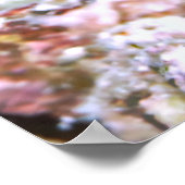 Poster Mantis Portrait de crevette (Coin)