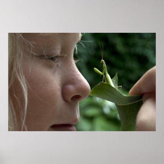 Poster Mantis religiosa (Devant)