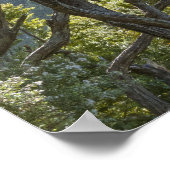 Poster Manuka Tree Forest Nouvelle-Zélande (Coin)