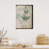 Poster manuscrit de Voynich (Cuisine)
