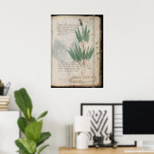 Poster manuscrit de Voynich (Bureau à domicile)