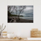 Poster Manzanillo (Cuisine)