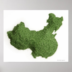 Poster Map of Mainland China made of grass