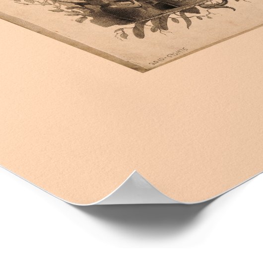 Poster Mapa del Peru (1862) (Coin)