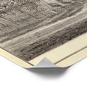 Poster Maple Grove (Coin)